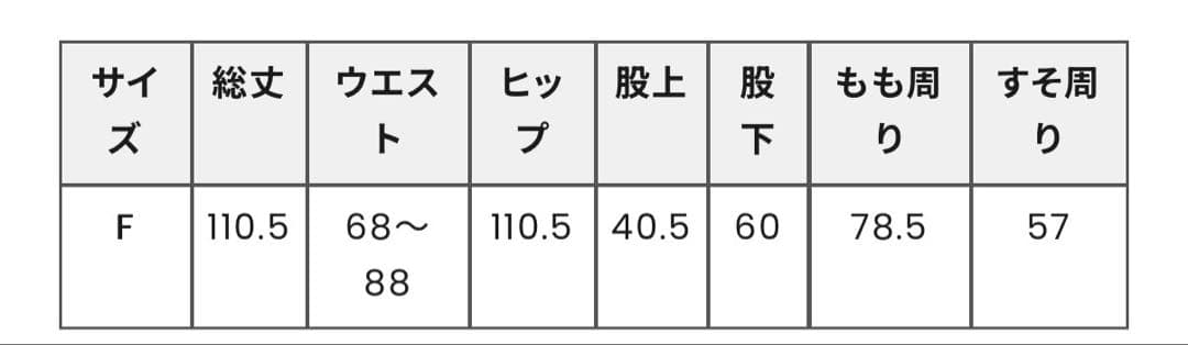 新品CURVE DAMAGE DENIM PANTS