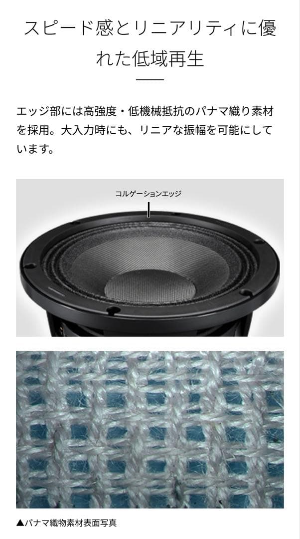 Carrozzeria TS-W252PRS サブウーファー