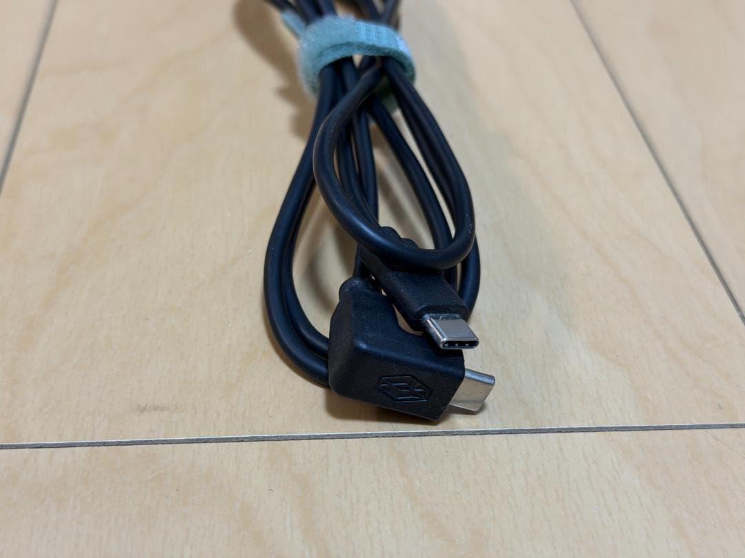 【付属品欠品あり】Looking Glass Portrait