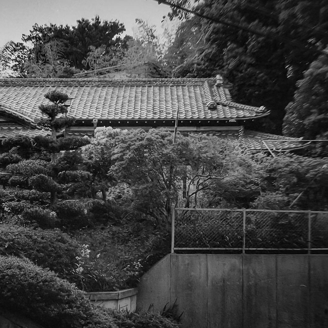 YashicaFlex A-II｜美品・動作良好・付属品完備