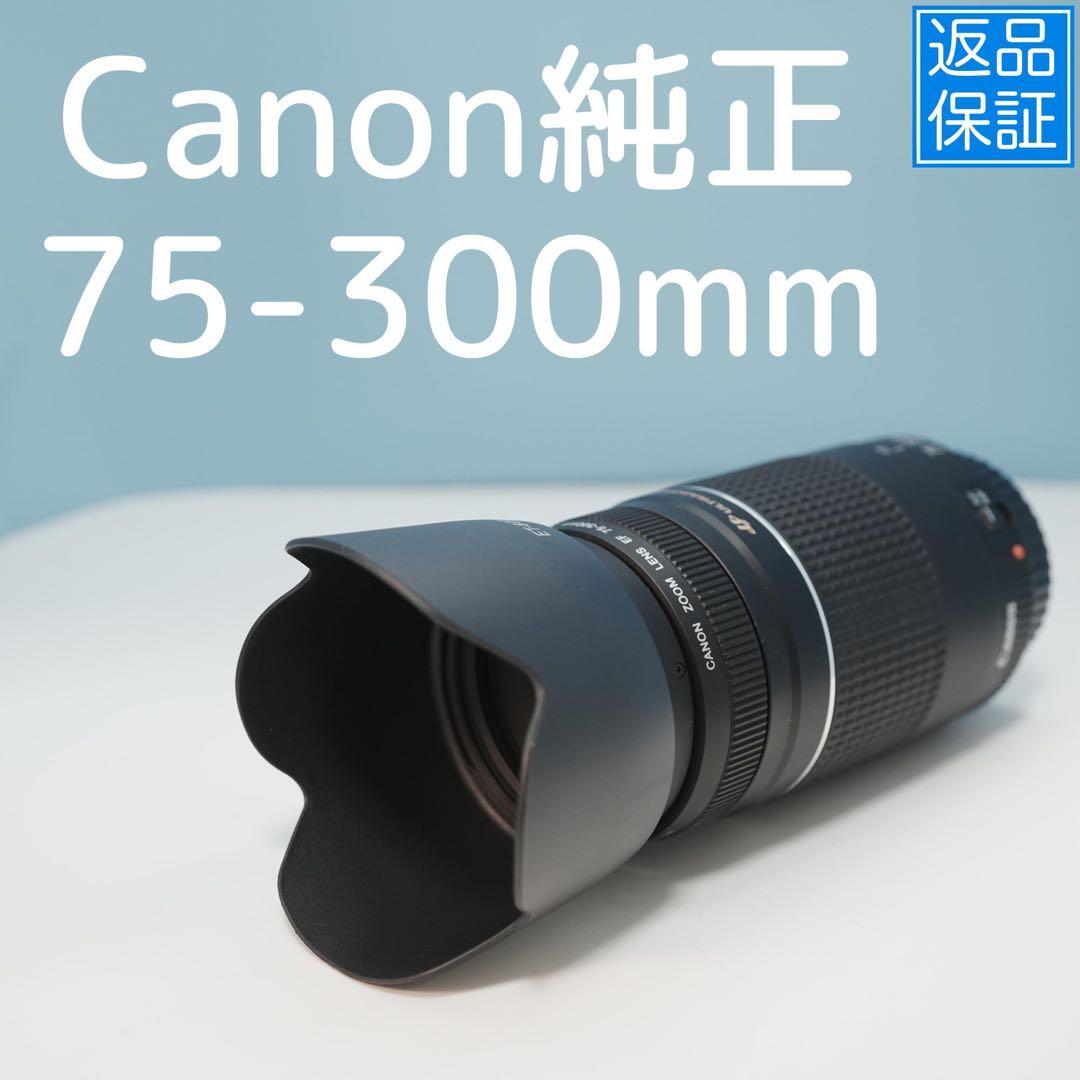 Canon純正 75-300mm 望遠レンズ a3959