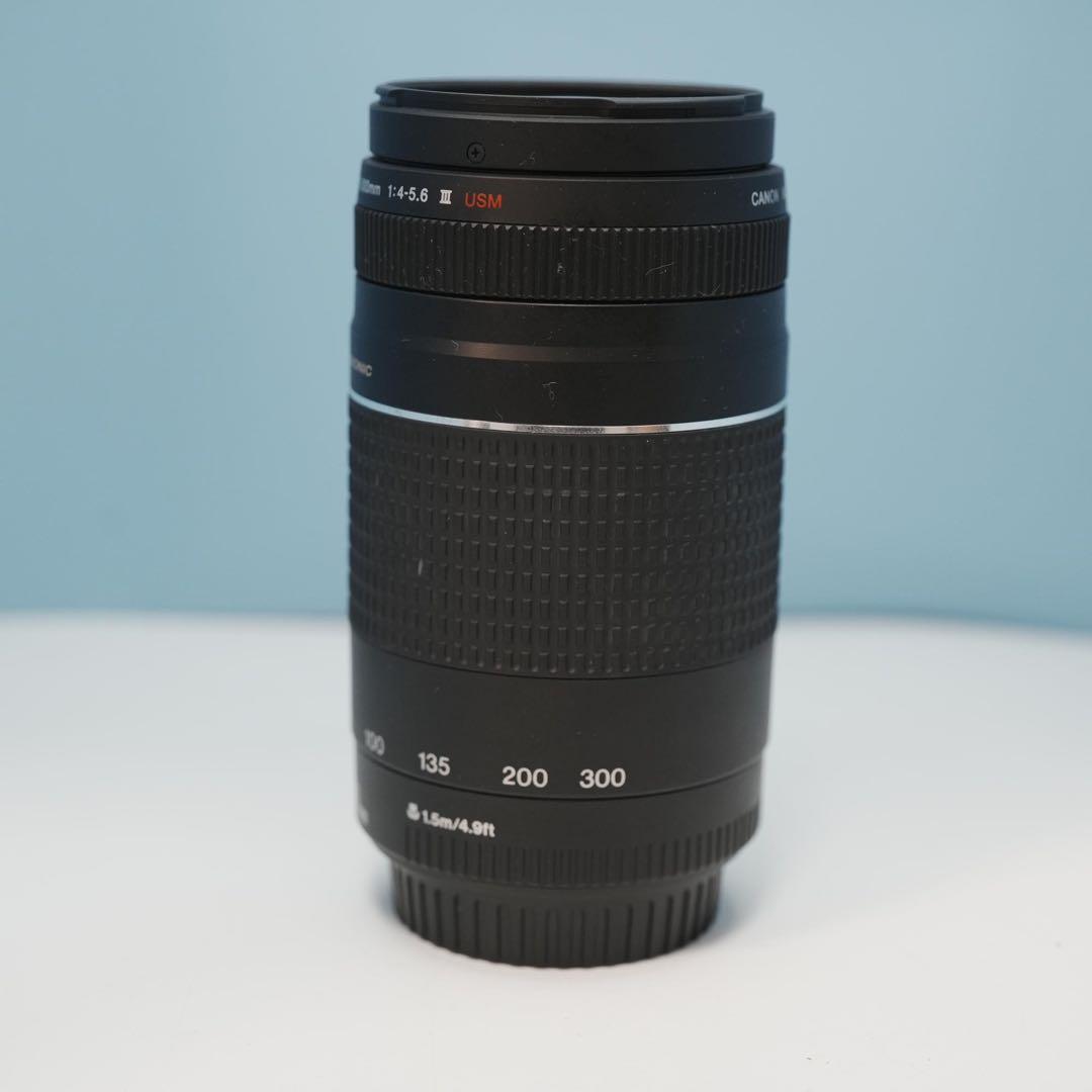 Canon純正 75-300mm 望遠レンズ a3959