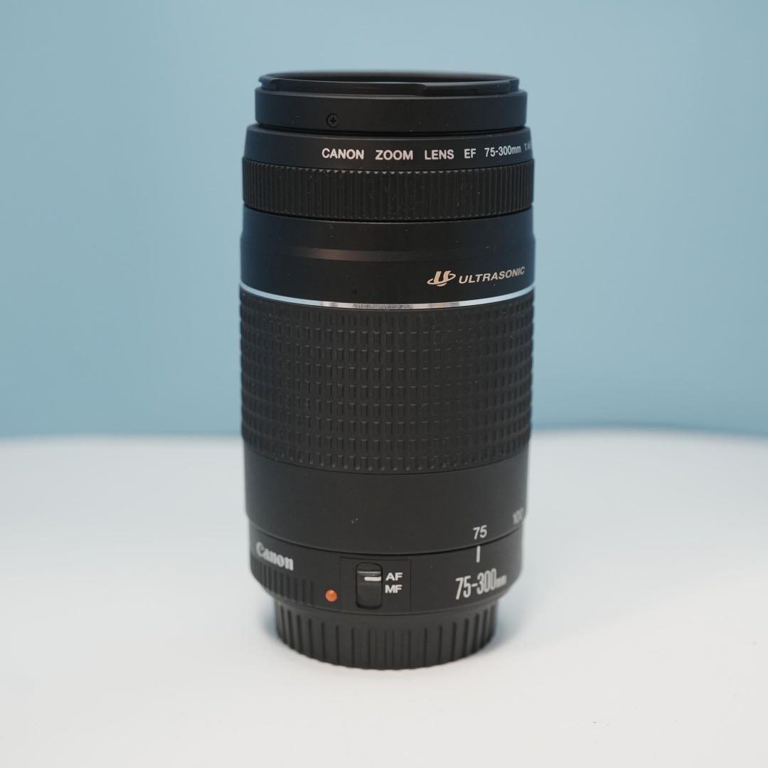 Canon純正 75-300mm 望遠レンズ a3959