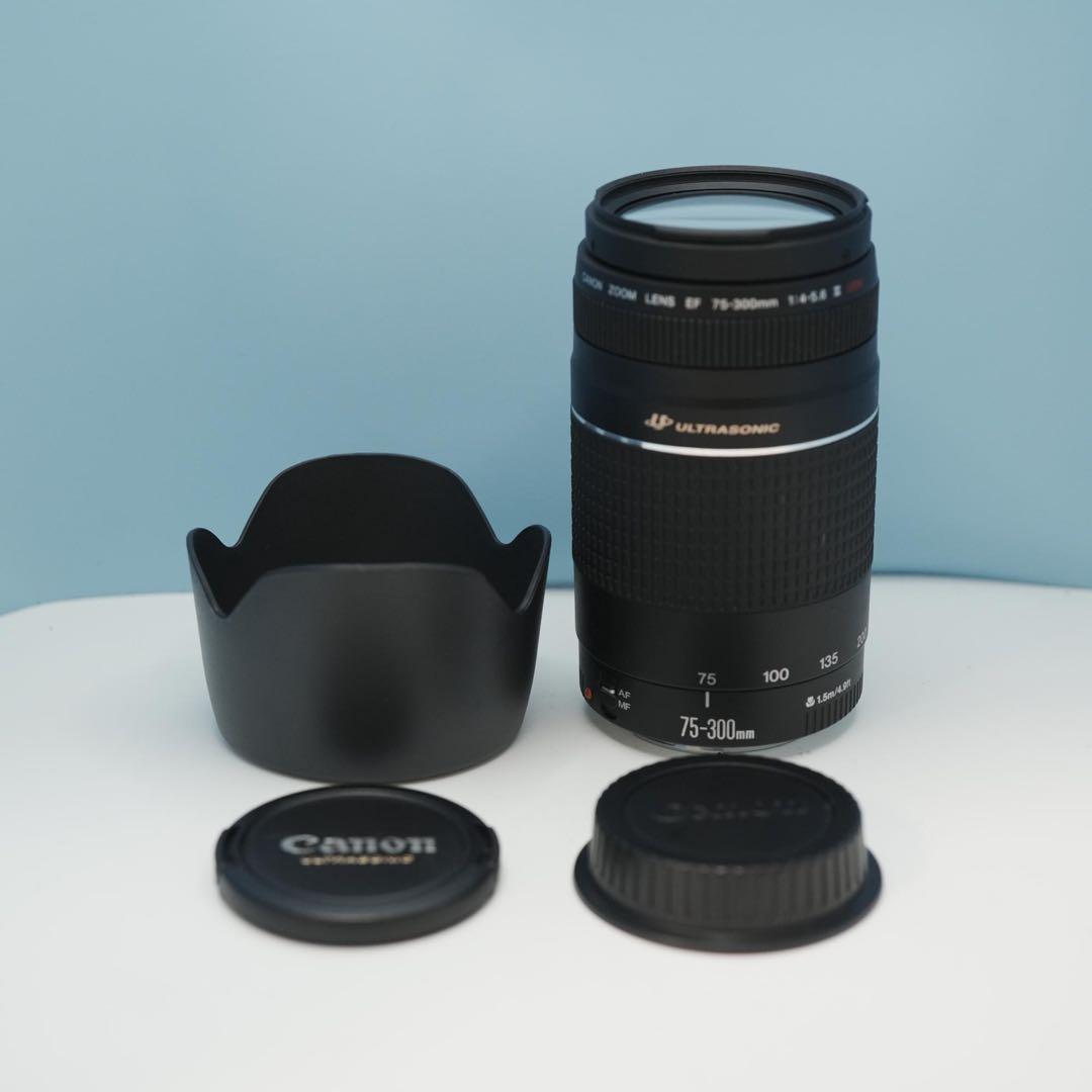 Canon純正 75-300mm 望遠レンズ a3959