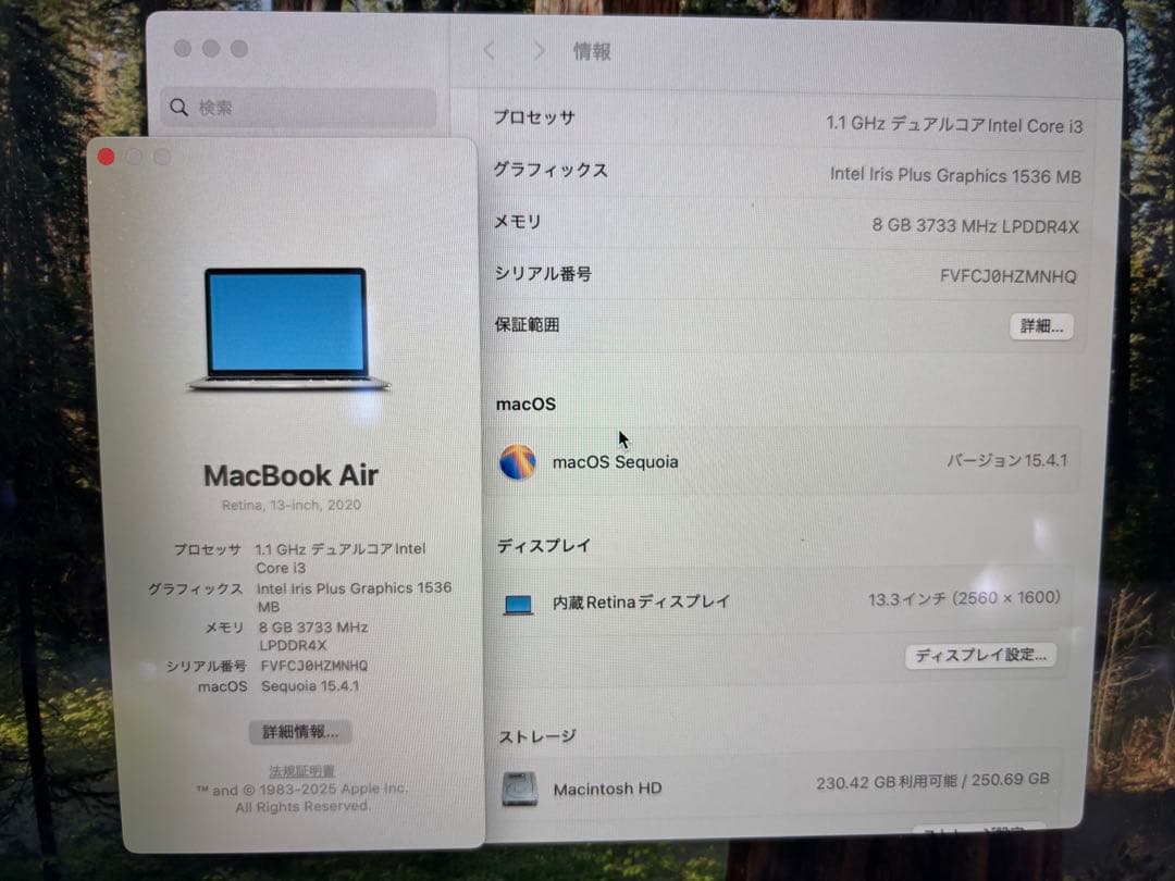 MacBook Air 13インチ　A2179 Retina 256GB