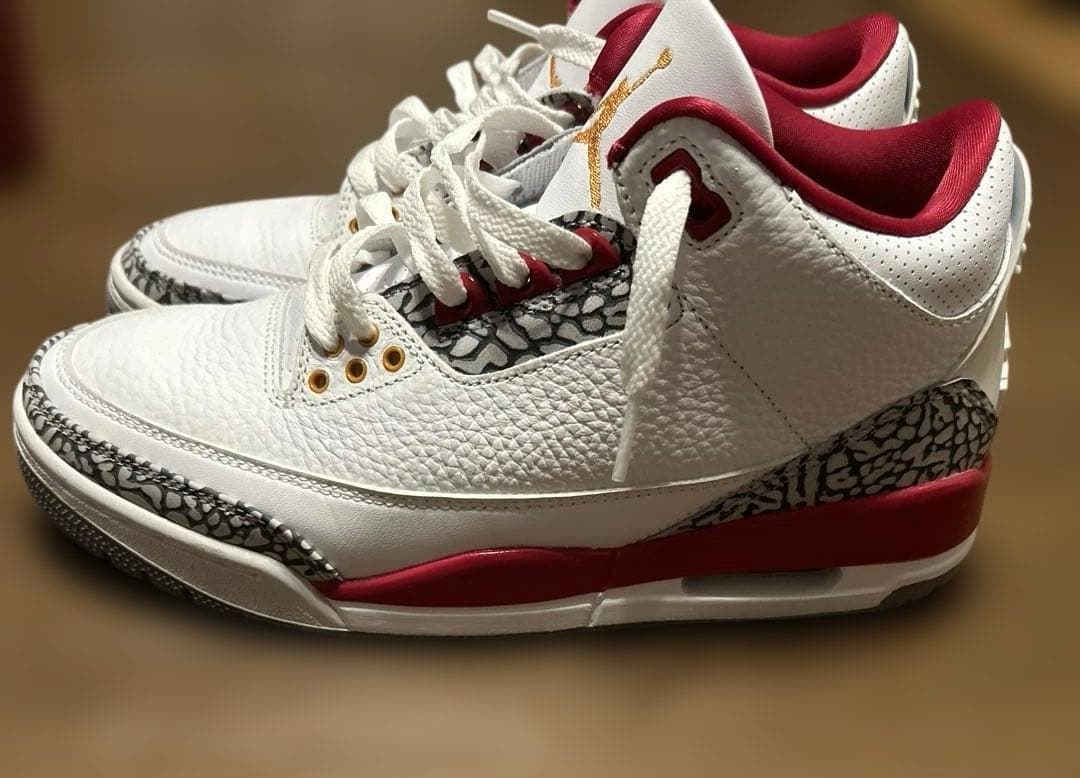 NIKE ナイキエアジョーダン3 レトロ 25cm
