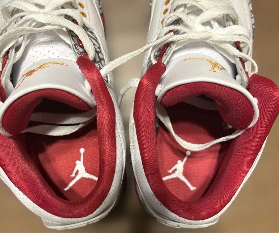 NIKE ナイキエアジョーダン3 レトロ 25cm