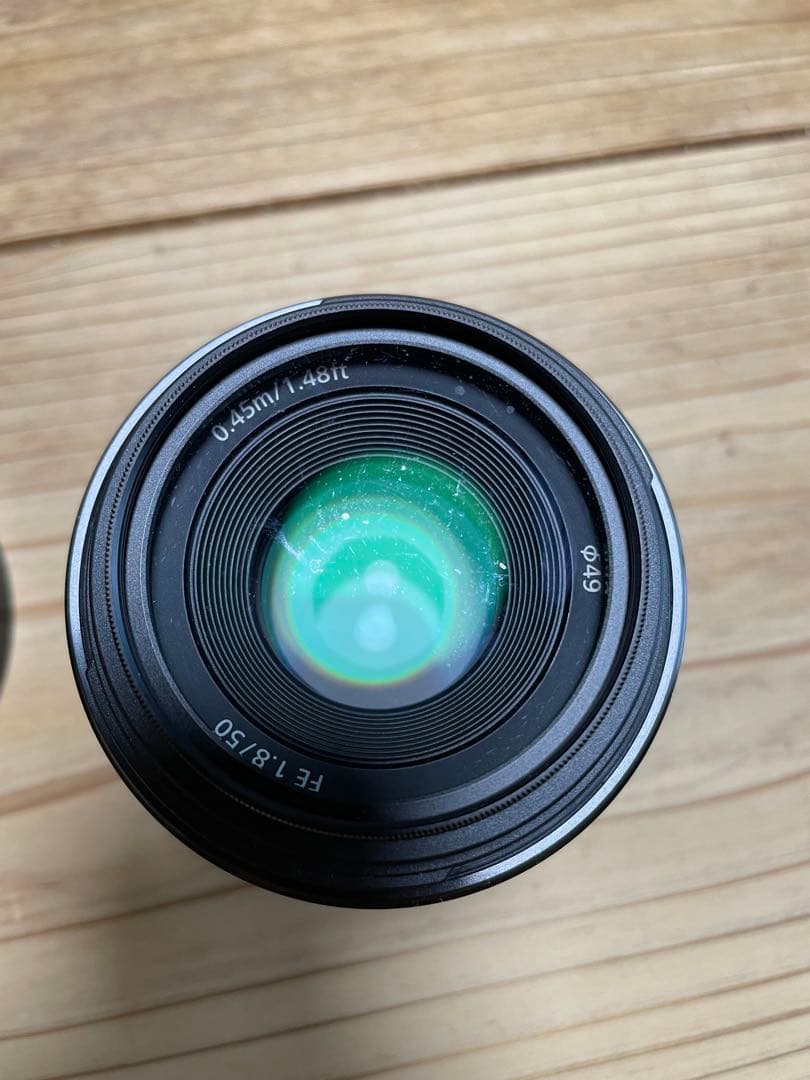 【リス】Sony 50mm F1.8