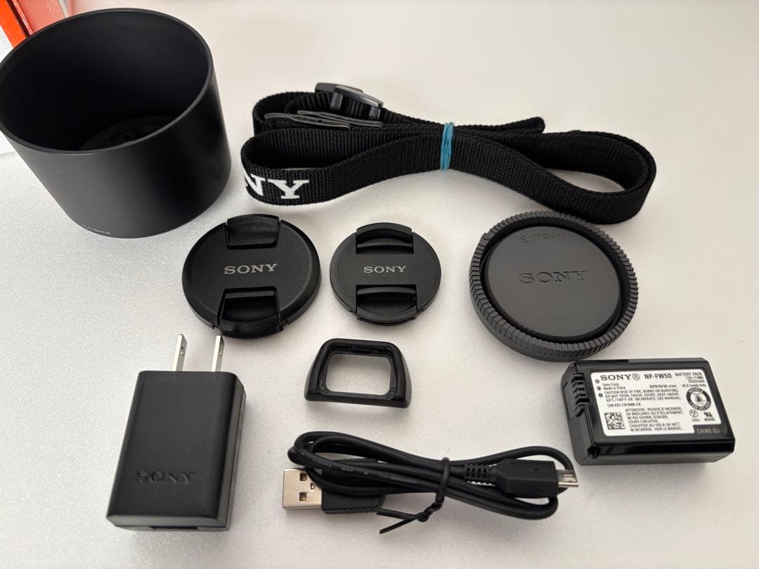 SONY α6100 ダブルズームレンズキット