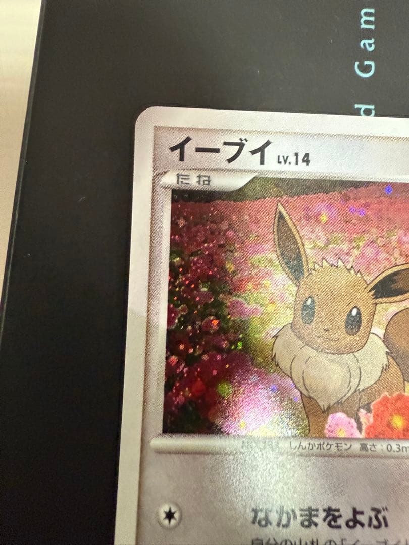 ふ*ぅ様 ポケモンカード イーブイ2枚セット
