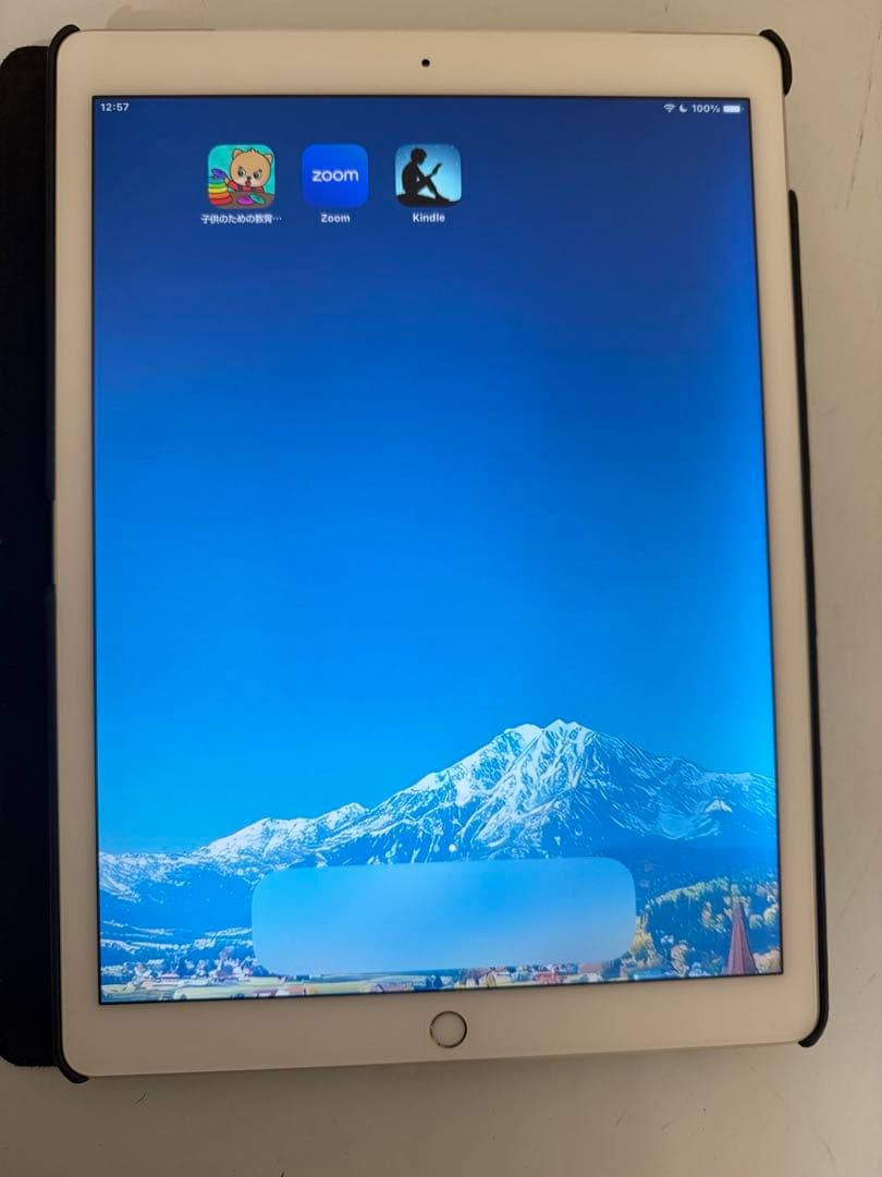 ipad pro第1世代 128GB WiFi+Cellular 12.9インチ