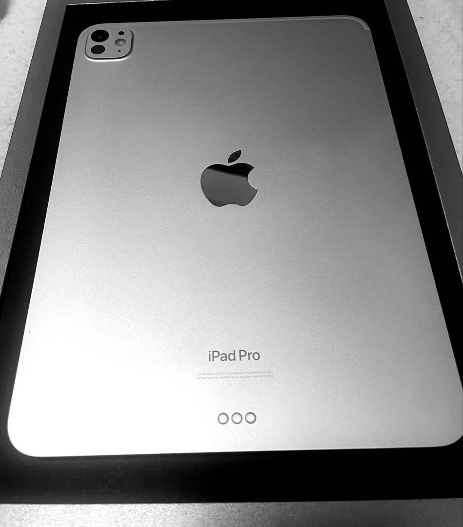 iPad Pro11インチ M4