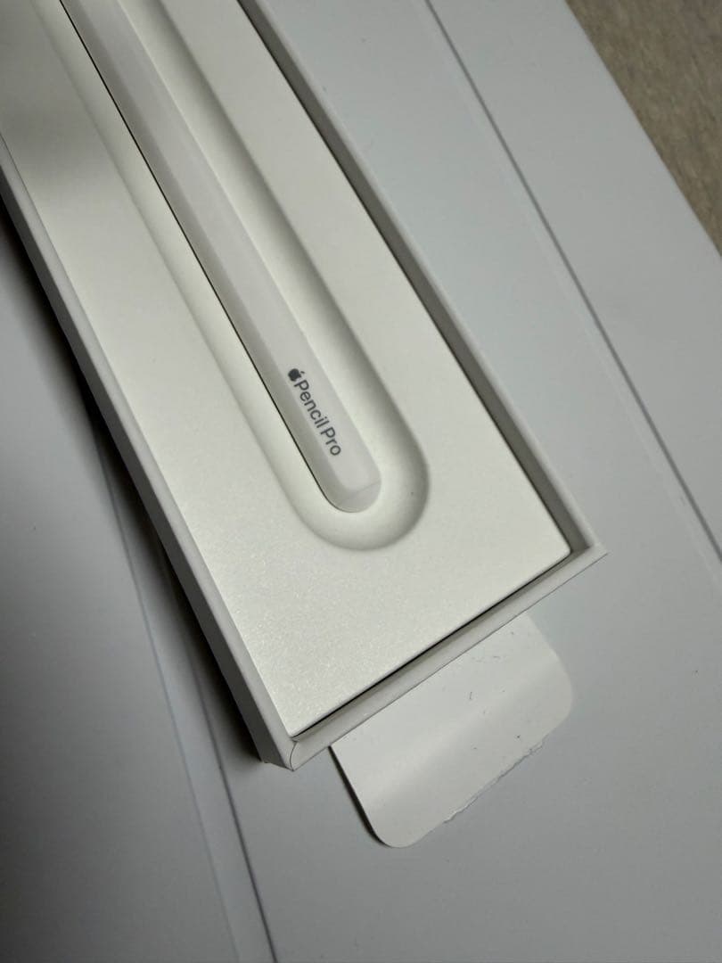 使用15日‼️iPad Pro (M5) 13(Apple care付き！)