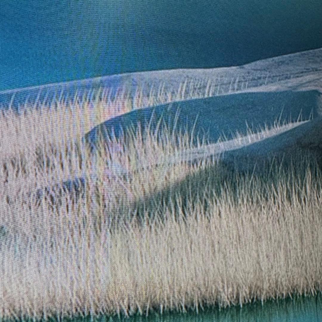 DELL U4320Q 42.51インチ 4K PCモニター 美品