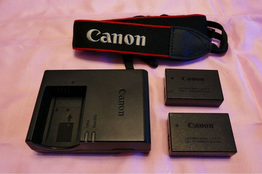 Canon EOS M6 ミラーレス一眼カメラ