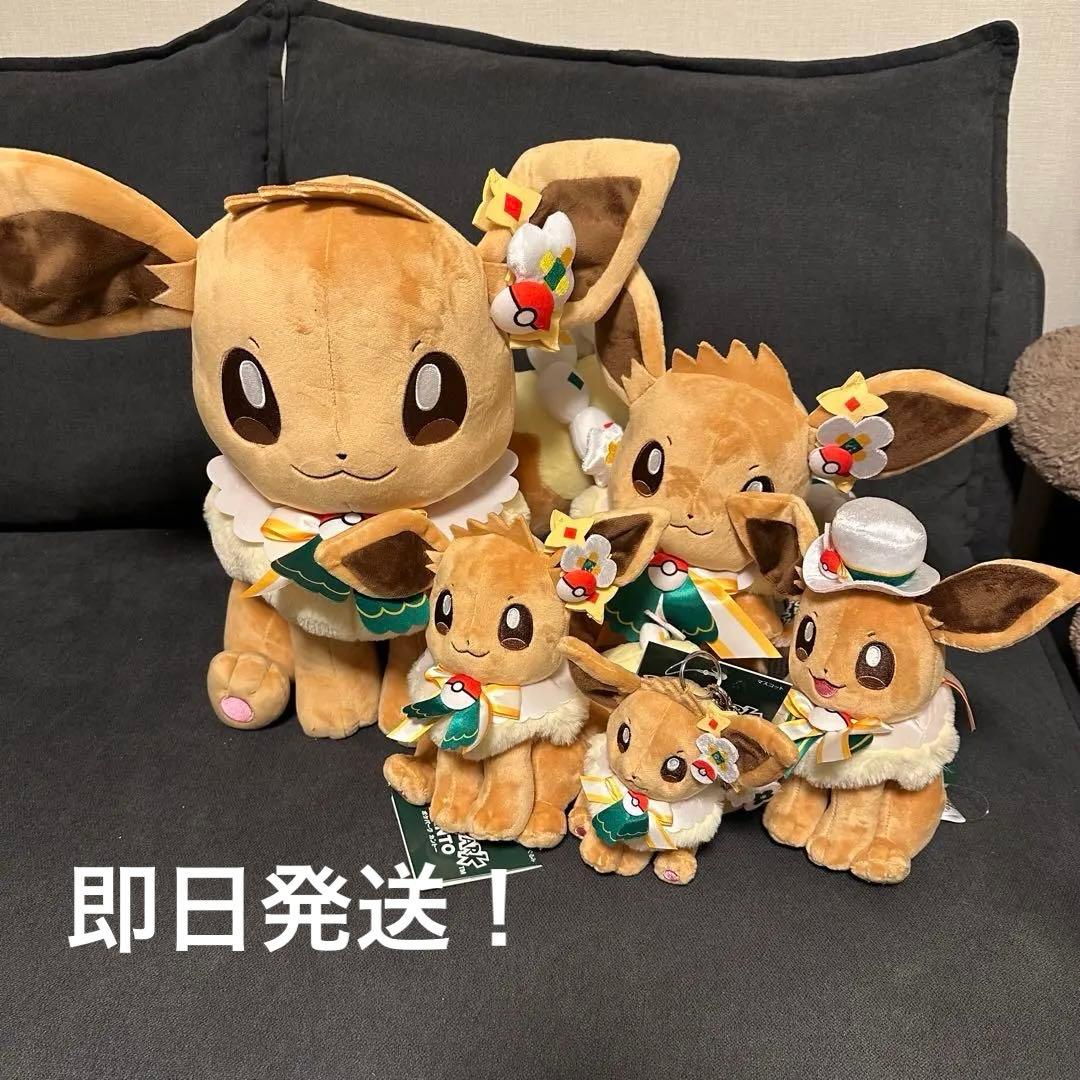 新品　ポケパーク　カントー　 ショップ　限定 イーブイ　ぬいぐるみ5体セット