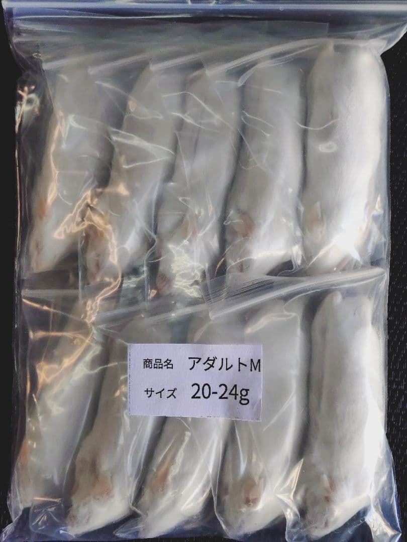 ペッパー　送料無料 冷凍マウスアダルトＬ20匹　アダルトM20匹