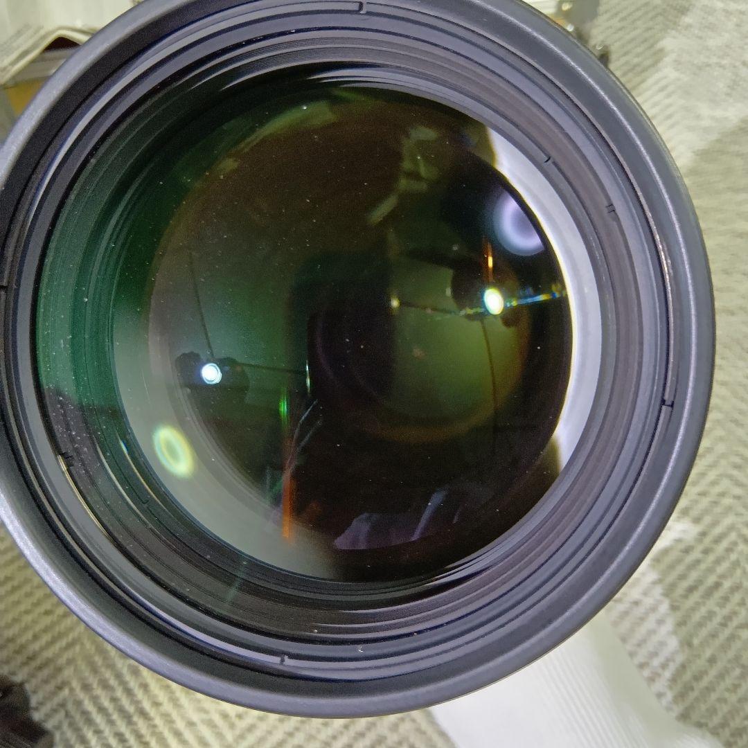 Nikon ED 300mm F2.8 / 2xテレコンバーター