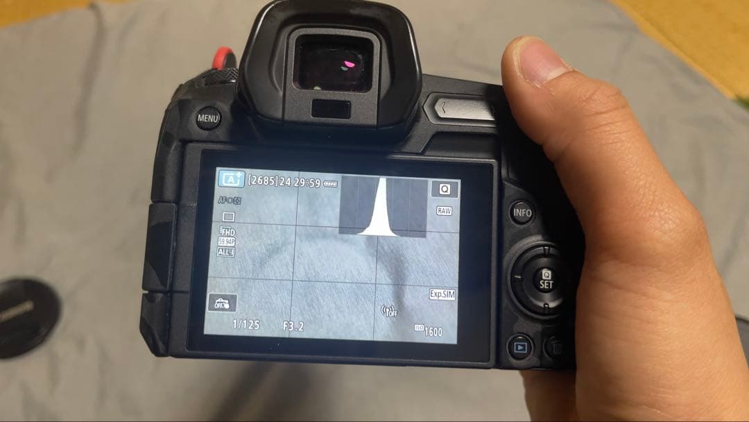 Canon EF 24-70mmf/2.8L USM ズームレンズ 「ジャック」