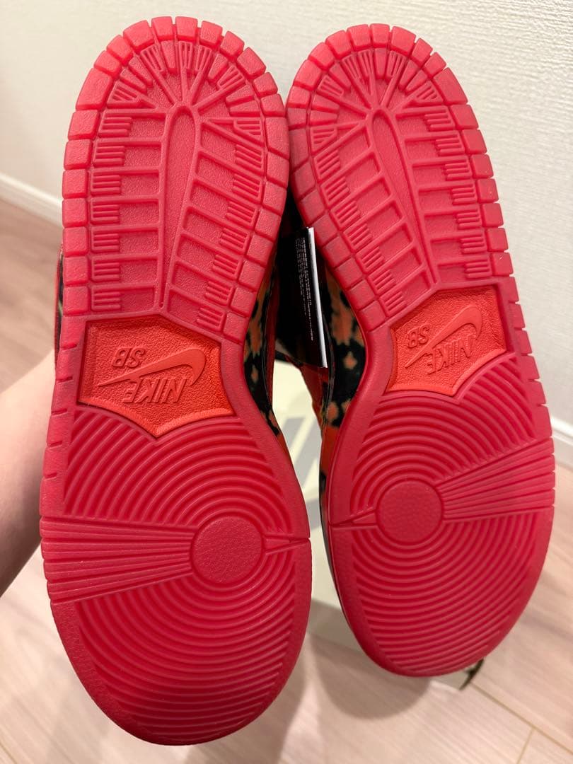 ✨新品✨ナイキSBダンク ロー プロ QS 【オズの魔法使い】メンズ スニーカー