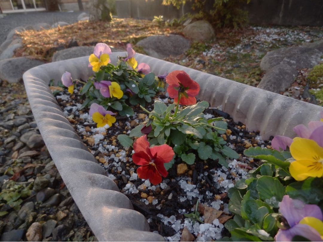 ☆動作OK コンデジ OLYMPUS SZ-20 バッテリー付き