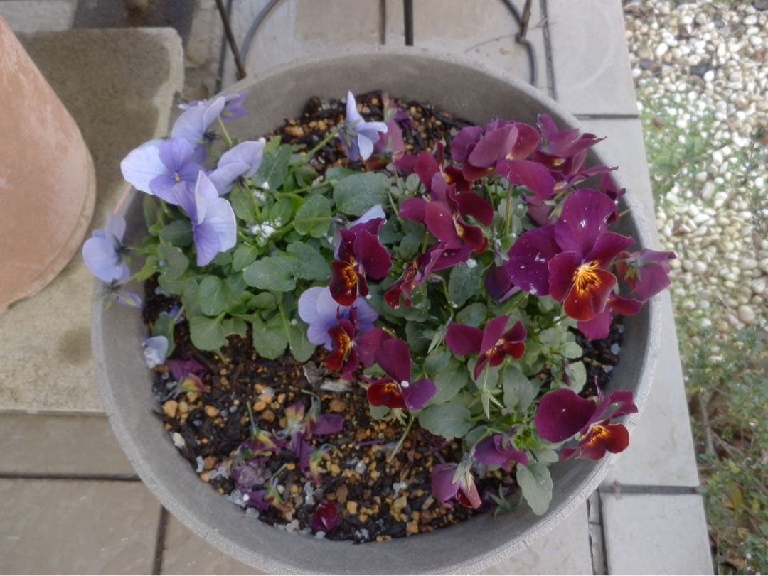 ☆動作OK コンデジ OLYMPUS SZ-20 バッテリー付き