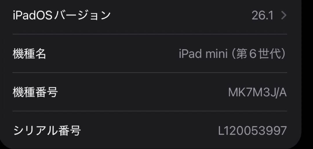 ipadmini6 スペースグレー WiFiモデル 64GB フィルム・充電器付