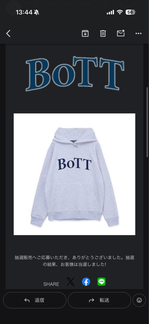 BoTT OG Logo Pullover Hoodie ash Mサイズ