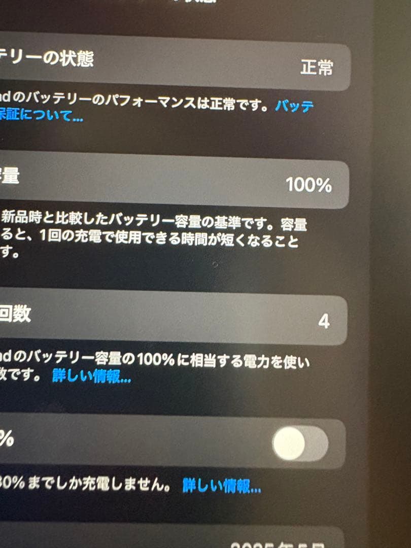 Apple iPad mini ブルー 128GB