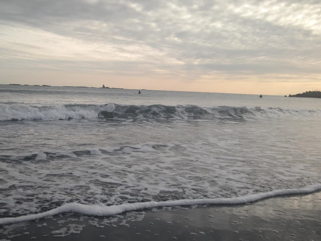 実写美⭕️美品【動作確認済】CASIO ハイスピード EXILIM EX-FS10