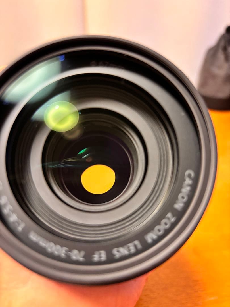 Canon EF70-300mm f4-5.6 IS Ⅱ USM