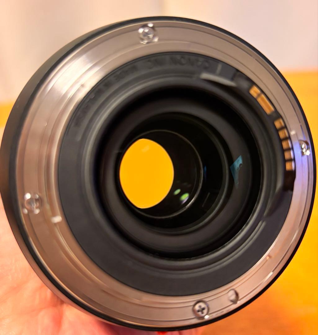 Canon EF70-300mm f4-5.6 IS Ⅱ USM