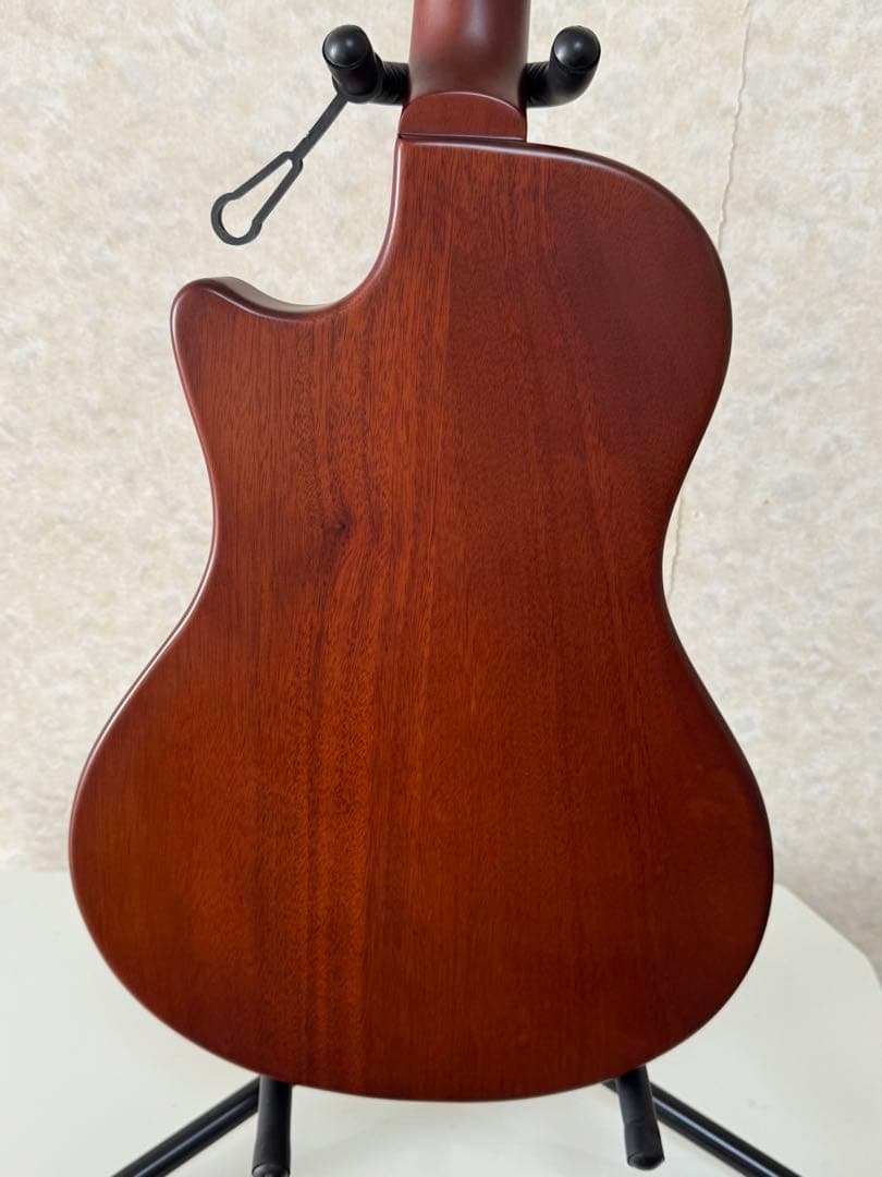 ESP BambooInn-K ナイロン弦タイプcharプロデュース