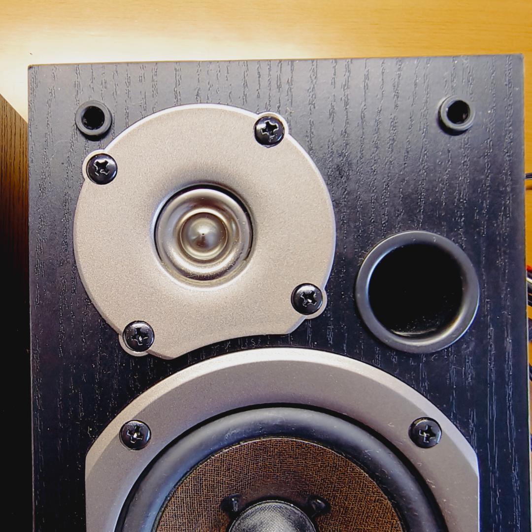 ONKYO WAVIO GX-D90 アンプ内蔵スピーカー　木目調ブラック