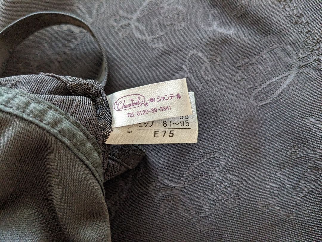 シャンデール　ボディスーツ　E75　NEW柄パワーネット