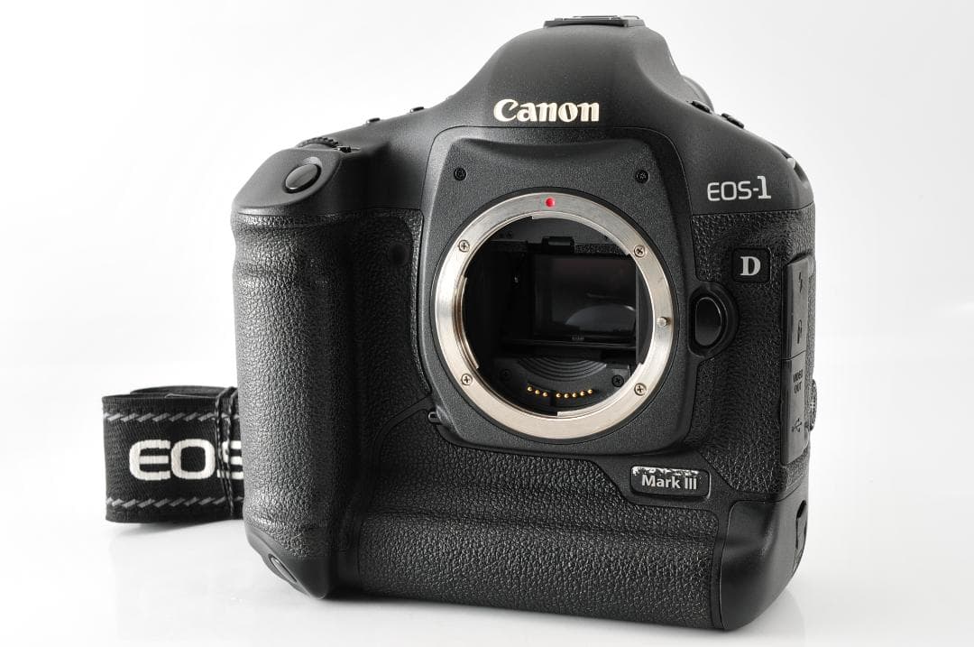 CANON EOS-1D MarkIII (シャッター数:2811)#1282