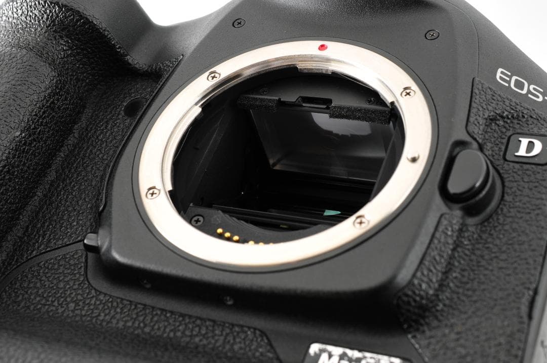 CANON EOS-1D MarkIII (シャッター数:2811)#1282