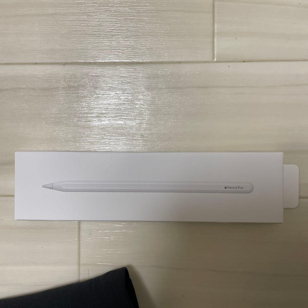 iPad pro 11インチ M4 【2024】 256GB Wi-Fi