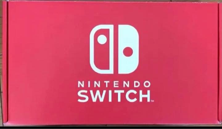 任天堂Switchグレー本体+Proコントローラー+マイクロファイバーセット