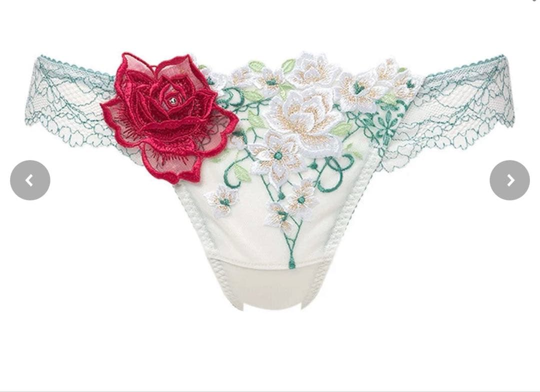 新作Salute サルートブラジャー+ショーツ2型の3点セット　E65＆Mサイズ