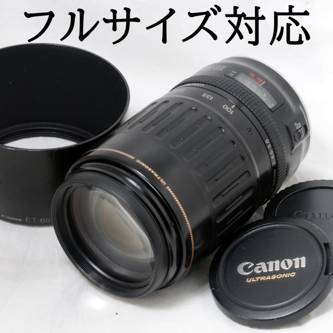 ★美品★Canon キャノン EF 100-300mm F4.5-5.6 USM