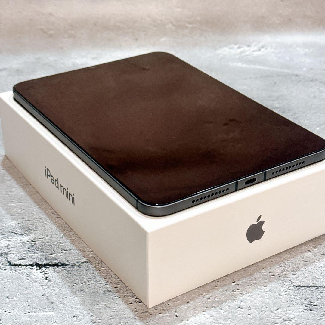 【美品】iPad mini 6 256GB Wi-Fi Cellular