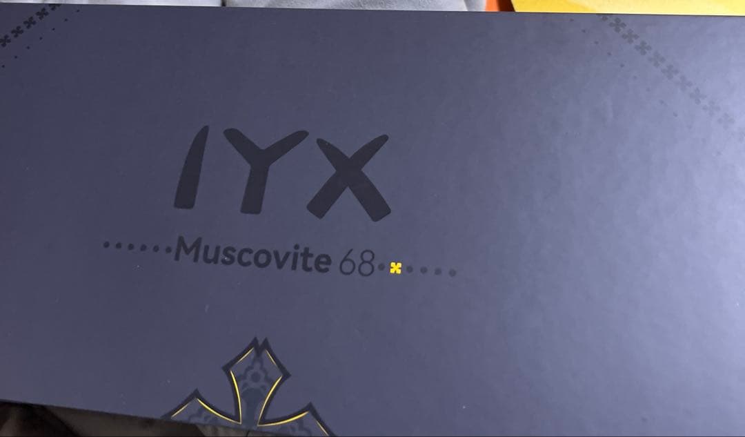 IYX MU68 pro white 未使用品