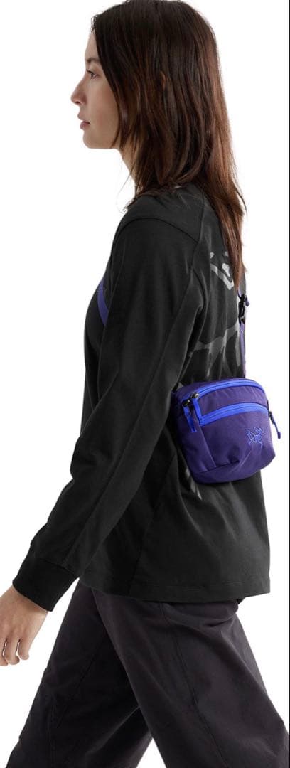 【2025年廃盤カラー】新品 アークテリクス マンティス2 正規品