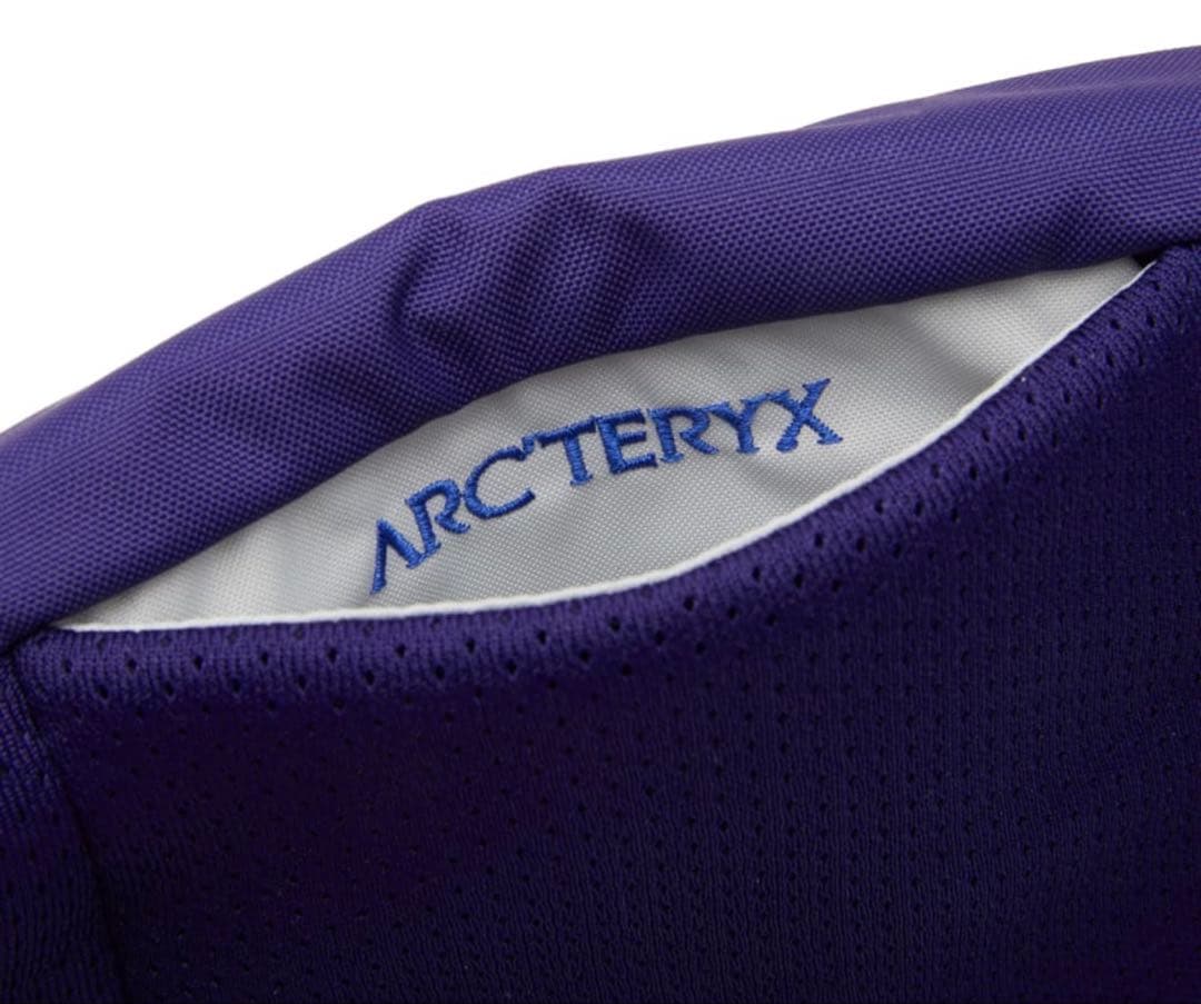 【2025年廃盤カラー】新品 アークテリクス マンティス2 正規品