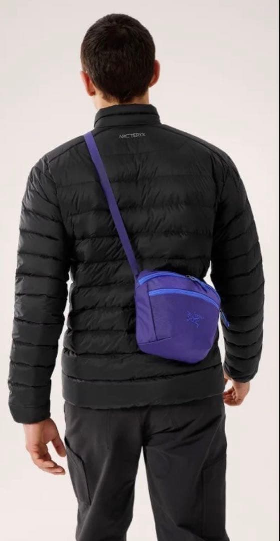 【2025年廃盤カラー】新品 アークテリクス マンティス2 正規品