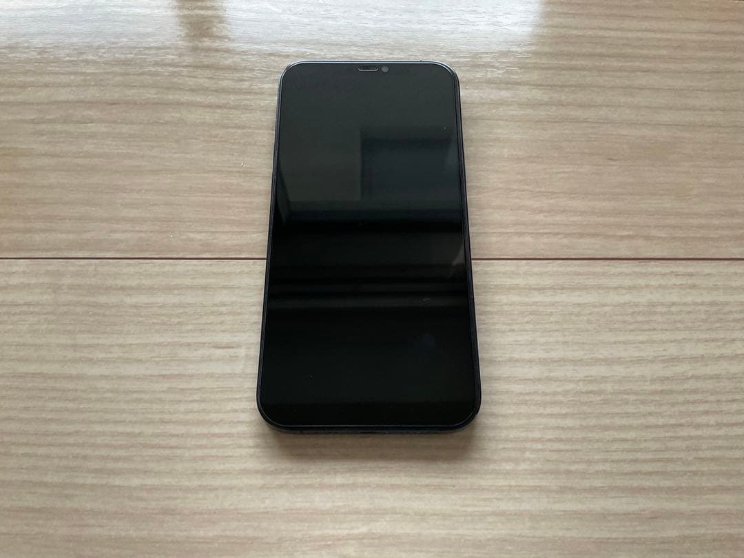 iPhone 12 Pro Max 128GB 2020年購入