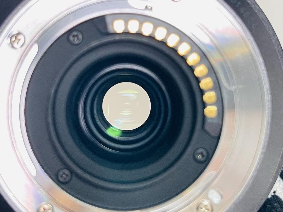 Panasonic LUMIX G VARIO 45-200mm 望遠ズーム