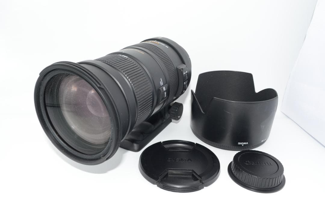 レンズ(ズーム) SIGMA APO 50-500mm F4.5-6.3 DG OS HSM