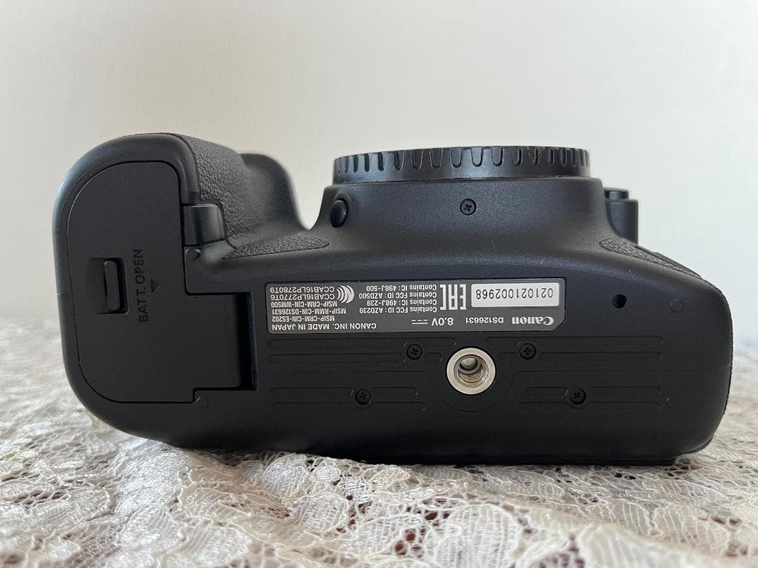 極美品 EOS 6D Mark II 本体 SC 12,500未満